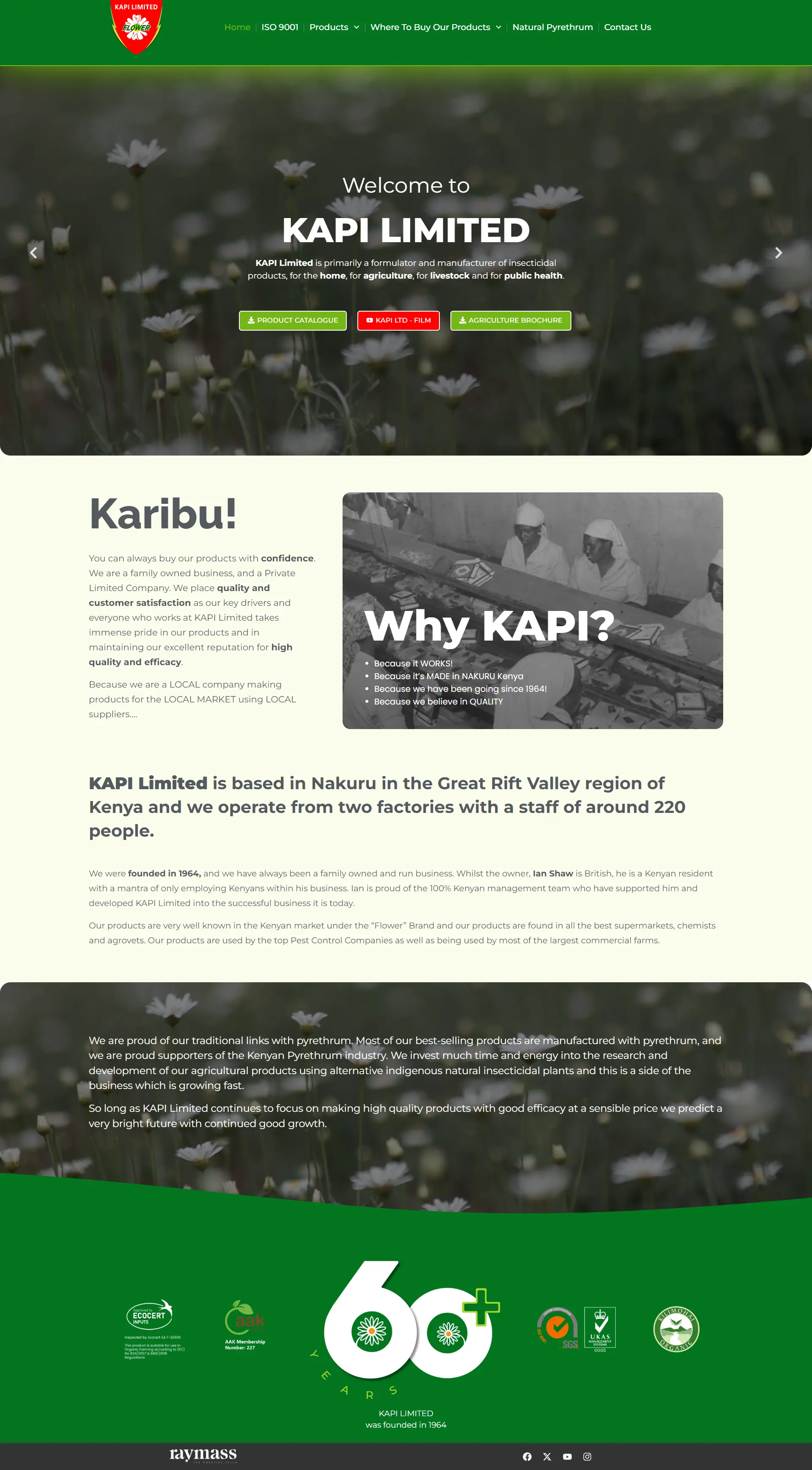 Website preview for kapilimited.com